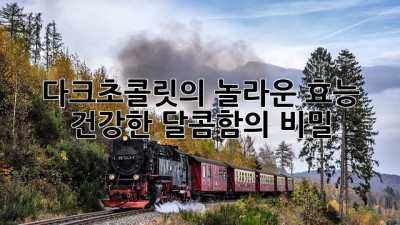 다크초콜릿의 놀라운 효능: 건강한 달콤함의 비밀