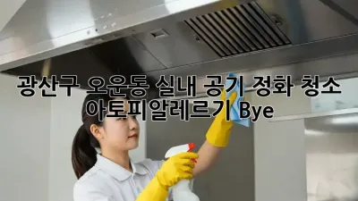 광산구 오운동 실내 공기 정화 청소 ✨ 아토피/알레르기 Bye!